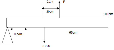 PhysF22023MT1aNS8b