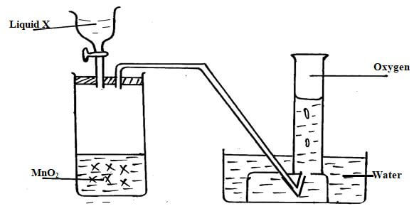 chemf2opt221q1