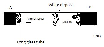 phyf2opt221q4b