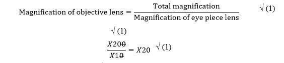 Cell Magnification Calculation