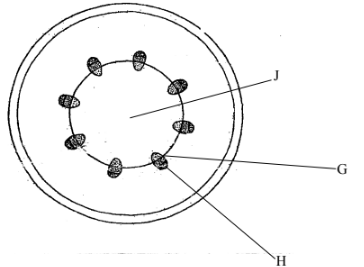 F2 Bio Q4 MT2 2021