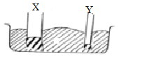 Phys F2 Q10 MT2 2021