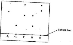 ChemF2midt1q6