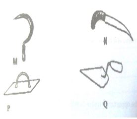 Diagram of some farm tools