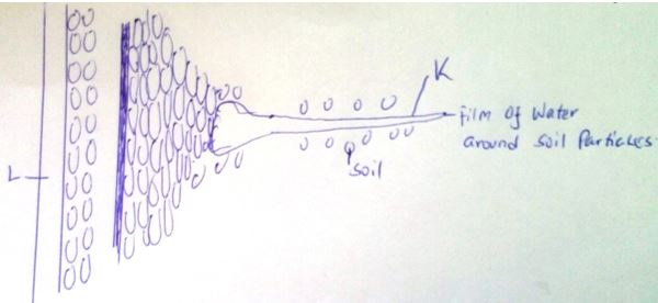 Diagram representing water pathways