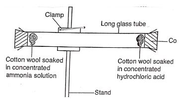 Chemf3mt122q11