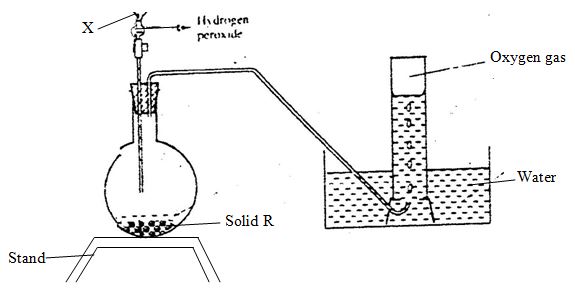 CHEMFM3PPR1QN5