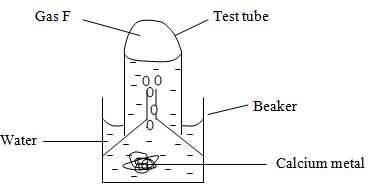 CHEMFM3PPR1QN9