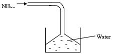 CHEMQN5MS