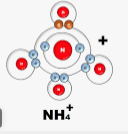 ChemF32023ET1P1Ans11a