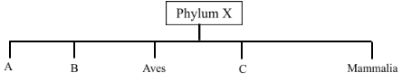 F3ET1PP1BioQ1