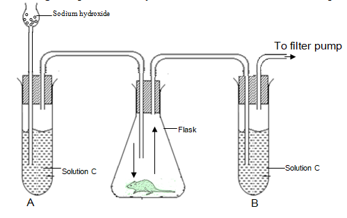 F3ET1PP3BioQ3