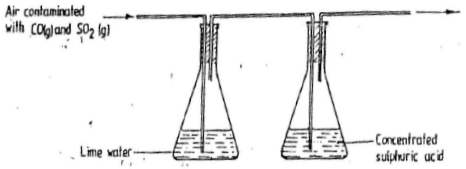 sample of air contaminated with carbon monoxide and sulphur dioxide