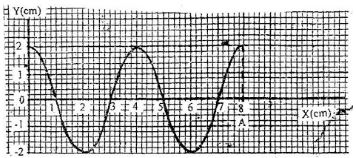 figure of transverse wave along horizontal axis