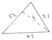 area of triangular field