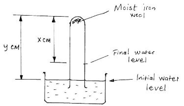 moist iron wool in a test tube