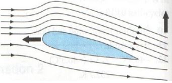 sketch of streamlines