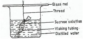 biofm3ppr1qn12