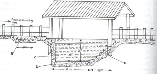 livestock handling structure cross section