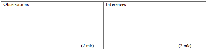 practical observations and inferences