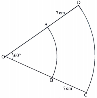 Concentric circle arcs