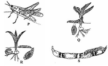 F3AgriMT3P12023Q19