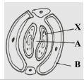 F3BioMT3P12023Q13