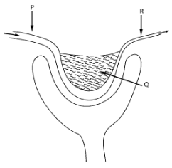 F3BioMT3P12023Q18