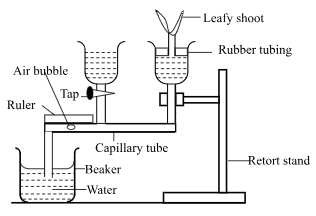 F3BioMT3P12023Q20