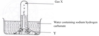 F3BioMT3P22023Q2