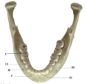 F3BioMT3P32023Q1