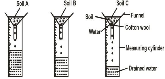 AgriF42023T1P1Q18