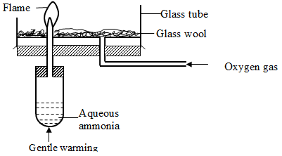 ChemF42023T1P1Q8