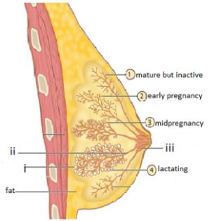 BioForm4ET122p2q4