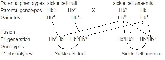 BioForm4ET122p2qa1c