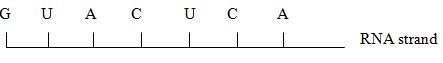 BioF4et121p1qa17a