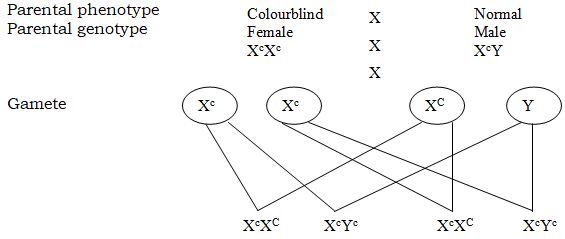 BioF4et121p2qa2aa