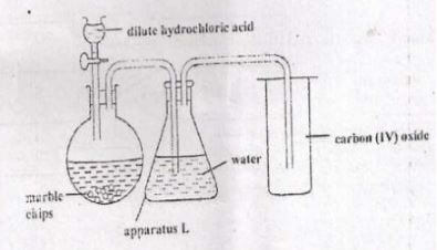 Chemf4mt221p2q4cii