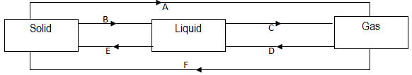 ChemForm4Term1OpPP2Q1bii