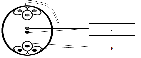 Bio Joint PM PP1 Q7 2122