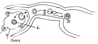 Bio Joint PM PP2 Q2 2122