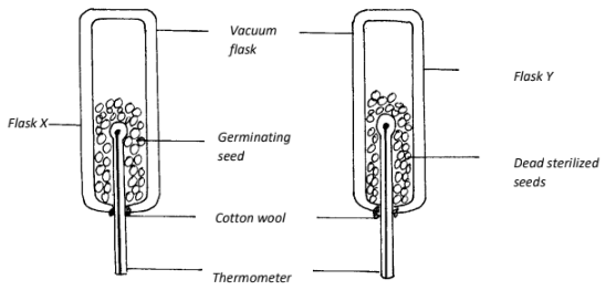 Bio Joint PM PP2 Q3 2122