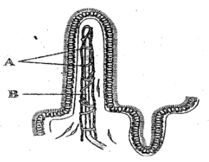 Bio Joint PM PP2 Q4 c 2122