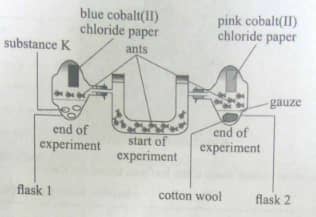 KCSE 2017 Bio PP1 23