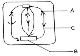 biomerp1q3