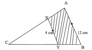 Mathmerp1q10