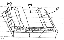 Geo EJM PP1Q7b