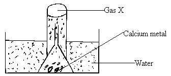 moma chem PP1 Q3 PM