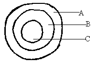 moma chem PP1 Q6 PM