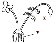 moma Bio PP1 Q5b